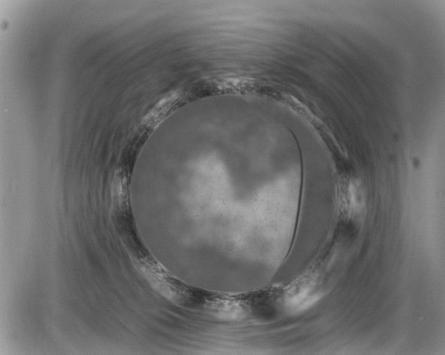 X0000085810276200703231344