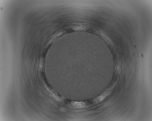 X0000085810277200703231344