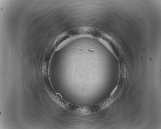 X0000085810280200703231344