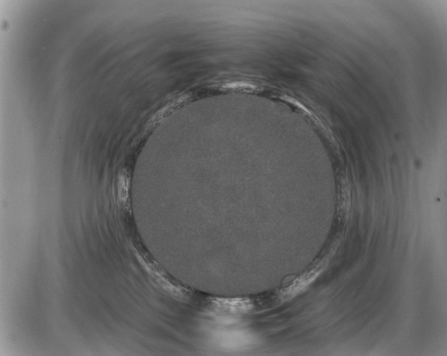 X0000085810281200703231344