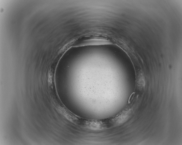 X0000085810282200703231344