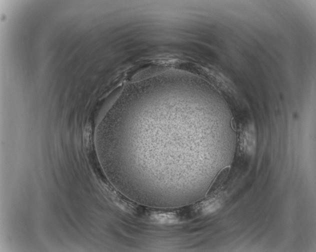 X0000085810283200703231344