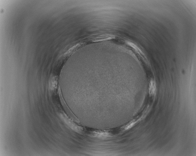 X0000085810284200703231344