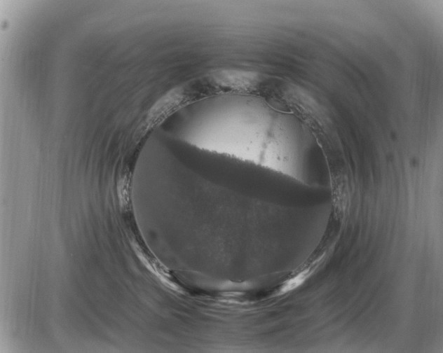 X0000085810285200703231344