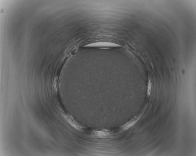 X0000085810286200703231344