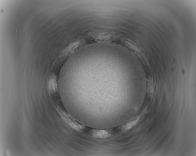 X0000085810287200703231344