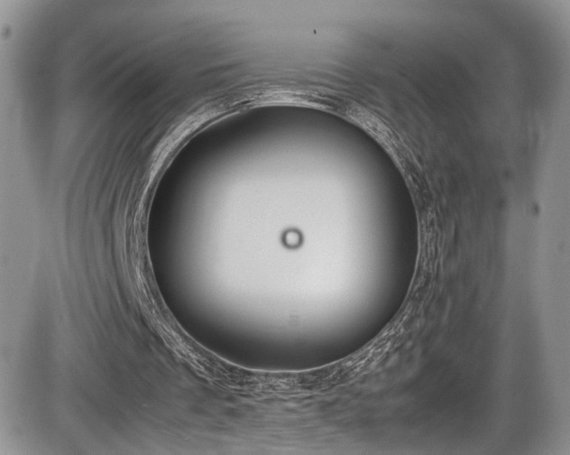 X0000085810289200703231343