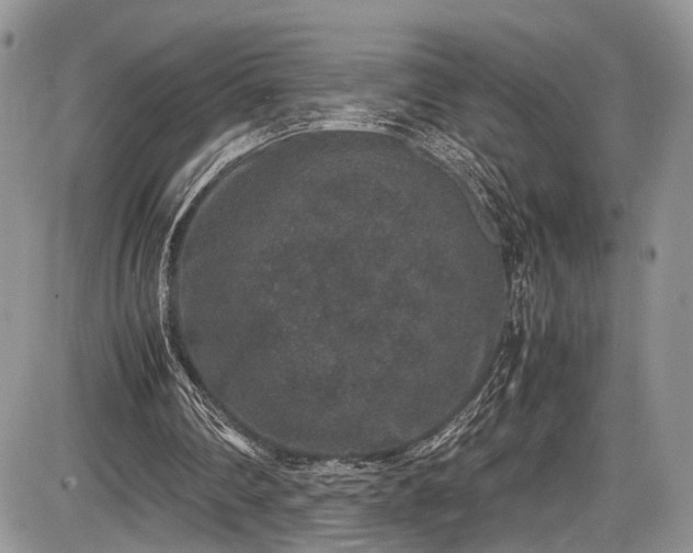 X0000085810290200703231343