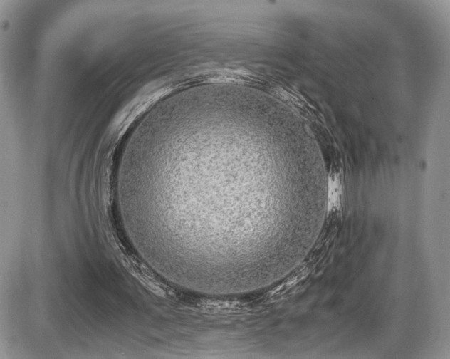 X0000085810291200703231343