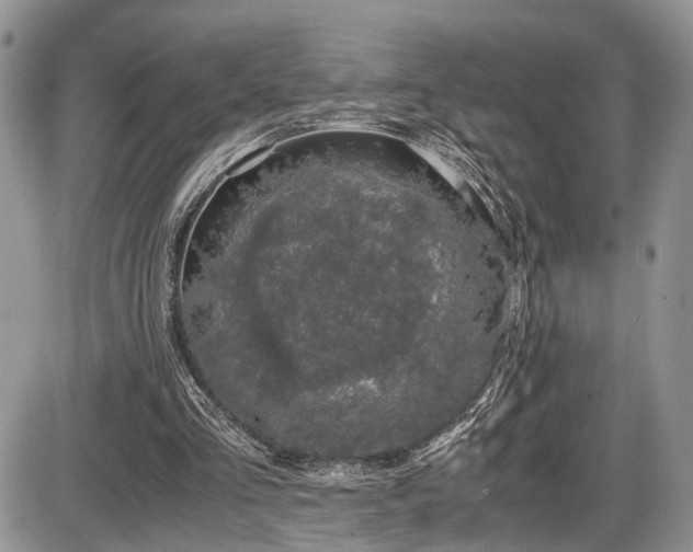 X0000085810293200703231343