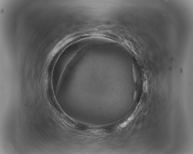 X0000085810295200703231343