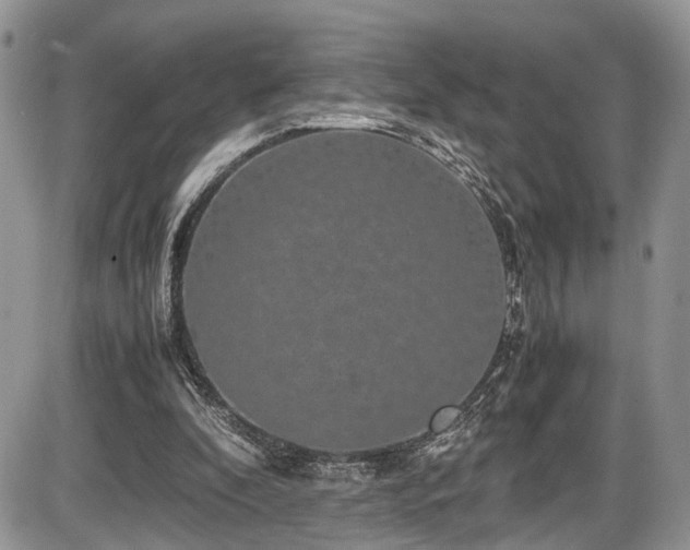 X0000085810296200703231343