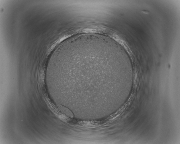 X0000085810297200703231343