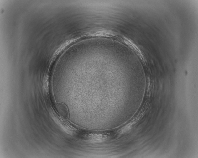 X0000085810298200703231343