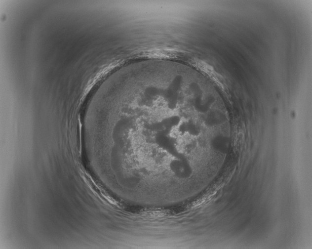 X0000085810299200703231343