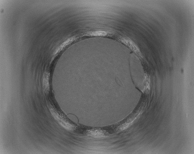 X0000085810300200703231343