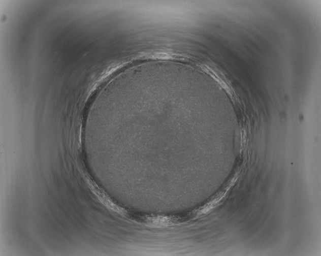 X0000085810301200703231343