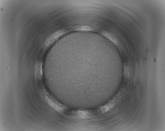 X0000085810302200703231343