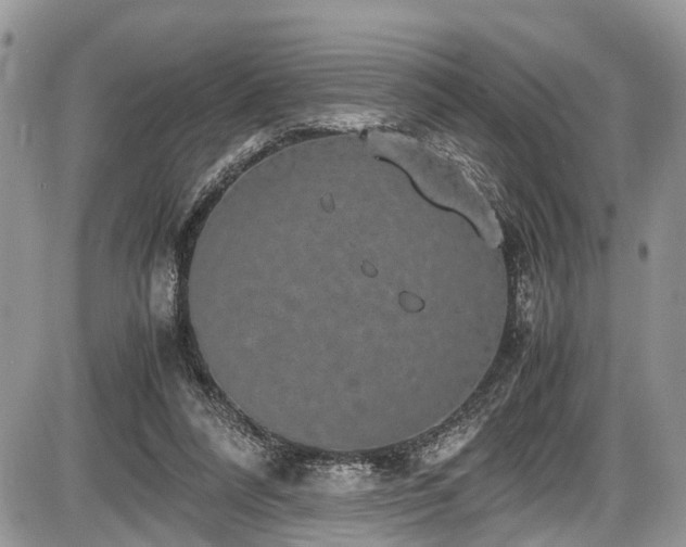 X0000085810304200703231343