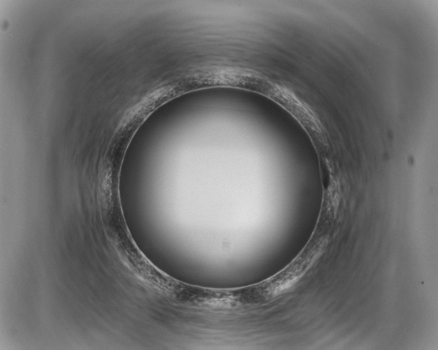 X0000085810306200703231343