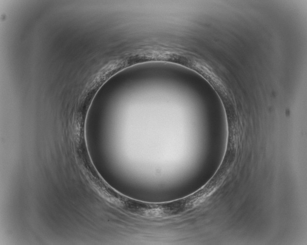 X0000085810309200703231343