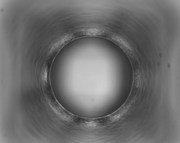 X0000085810310200703231343