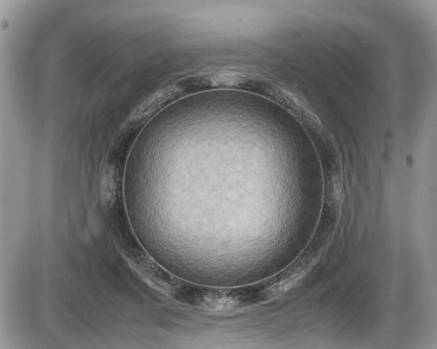 X0000085810311200703231343