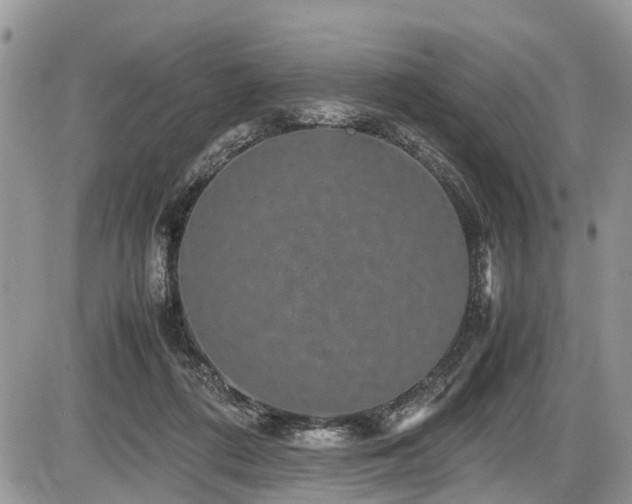 X0000085810312200703231343