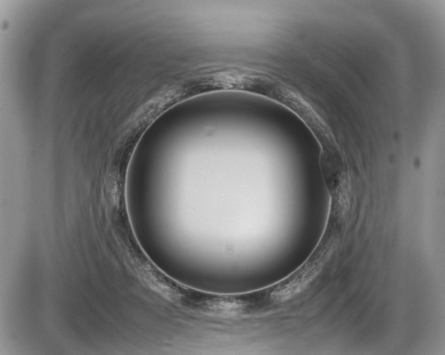 X0000085810313200703231343