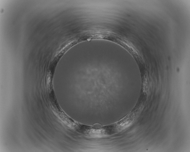 X0000085810314200703231343