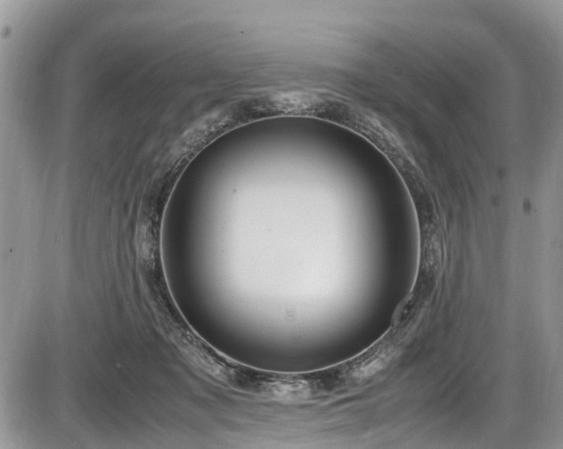 X0000085810317200703231342