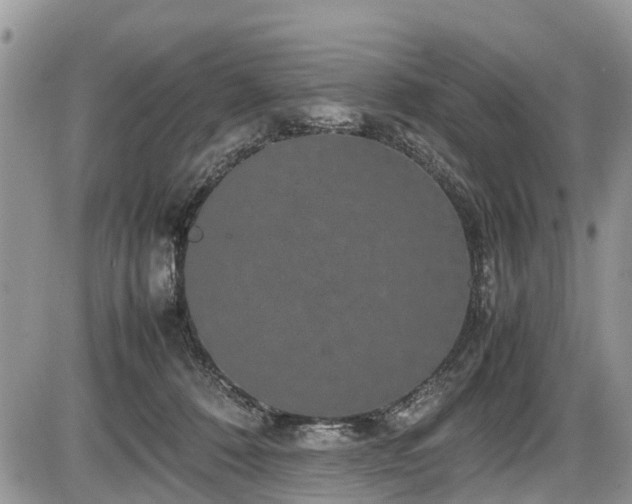 X0000085810320200703231342