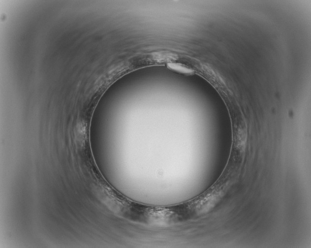 X0000085810321200703231342