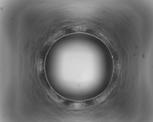 X0000085810323200703231342