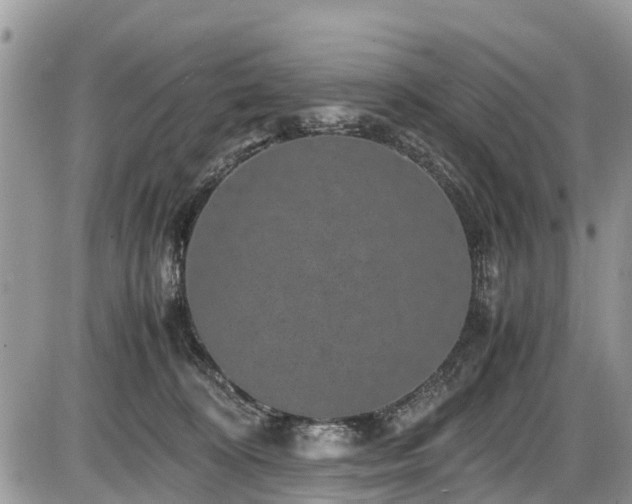 X0000085810324200703231342