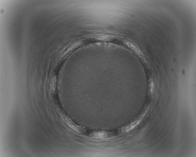 X0000085810325200703231342