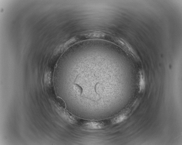 X0000085810326200703231342