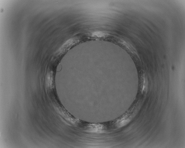 X0000085810328200703231342