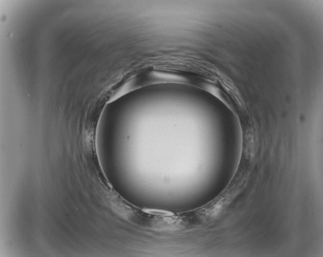 X0000085810329200703231342