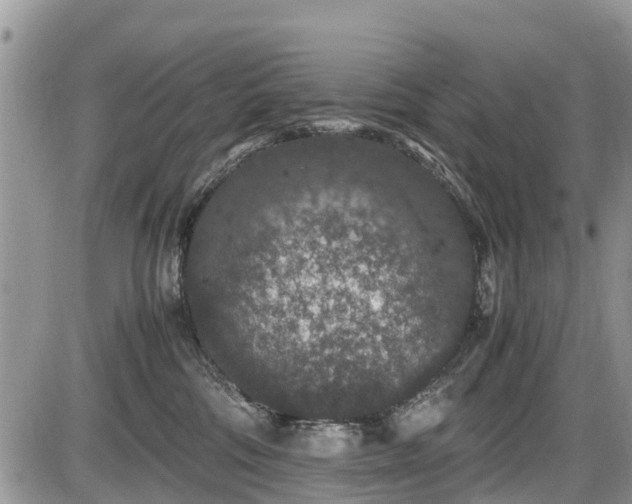 X0000085810330200703231342