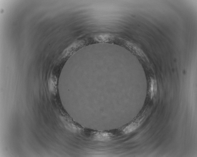 X0000085810332200703231342