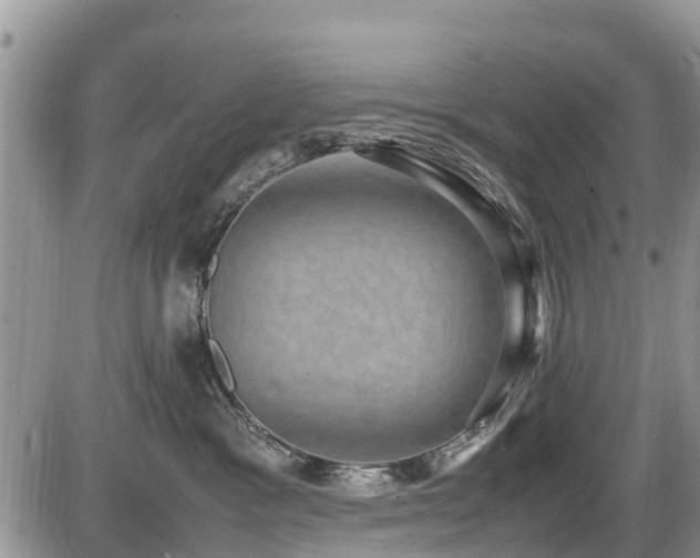 X0000085810333200703231342