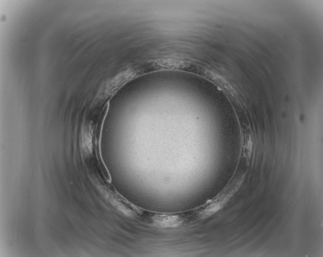 X0000085810334200703231342