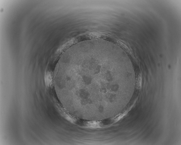 X0000085810335200703231342