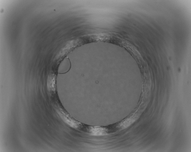 X0000085810336200703231342