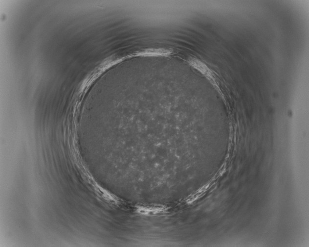 X0000085810337200703231341