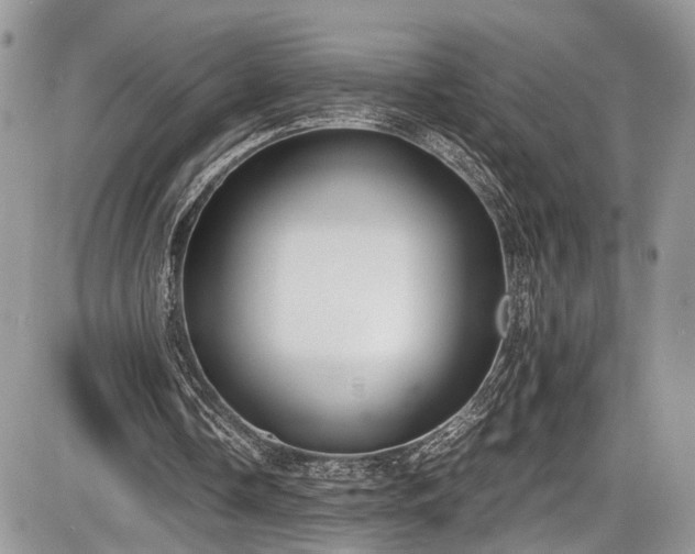 X0000085810338200703231341