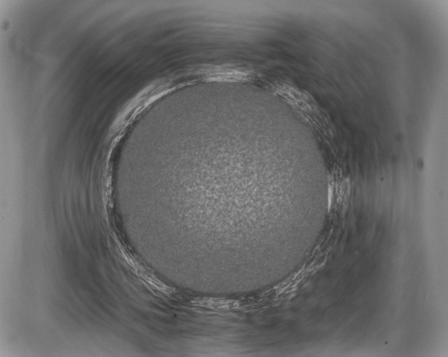 X0000085810339200703231341