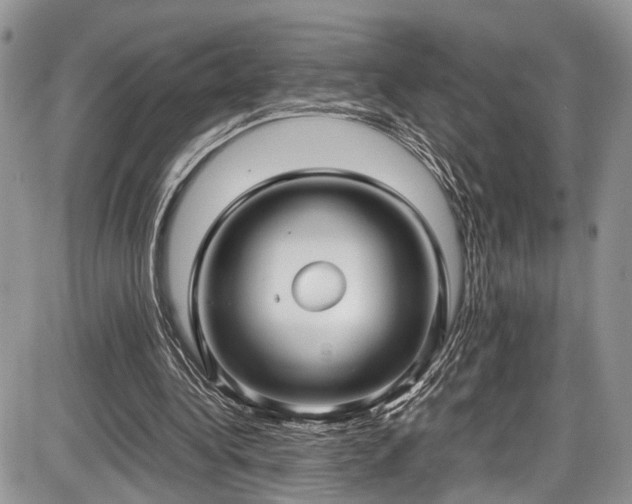 X0000085810340200703231341