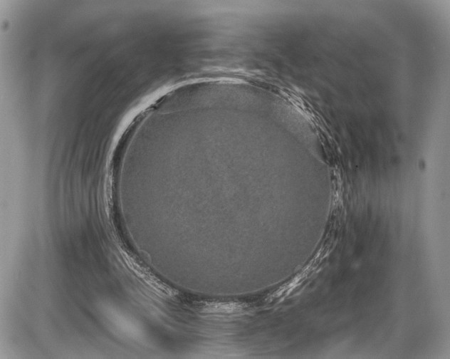 X0000085810342200703231341